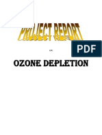 ozonedepletion2-121130101856-phpapp01