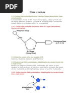 DNA Structure 