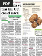 Guatemala va tras EE. UU. con el macal