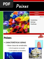 iv-1peixes-111017090629-phpapp01