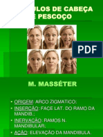 Musculos Da Cabeça e Pescoço