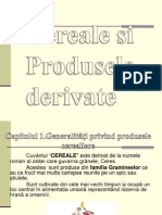 Cereale Si Produse Derivate