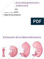 Estimación de la edad gestacional y embrionaria.pptx