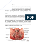 Patofisiologi Penyakit Hisprung fix.doc