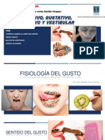 Fisiología Del Gusto (Siordia)