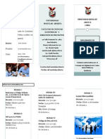 Brochures Diplomado Actualizacion Contable -UMA