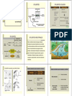 CLASE TRATAMIENTO DE EFLUENTES 2013 para Alumnos PDF