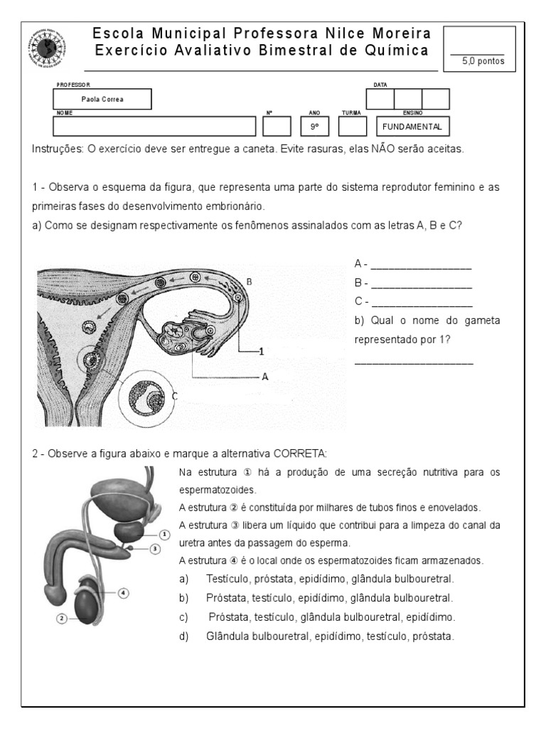Atividades sobre Sistema Reprodutor 5º Ano | PDF | Sistema reprodutivo ...