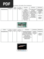 Actinopterygii tabela 1