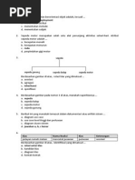 Proses terjadinya pasang surut air laut