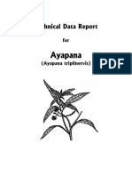 Ayapana Tech Report