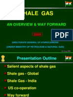 Shale Gas 