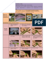 GrasshopperS PDF