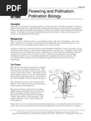 Flowering Pollination