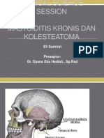 Mastoiditis Kronis dan Kolesteatoma