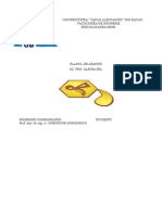 Model Plan de Afaceri