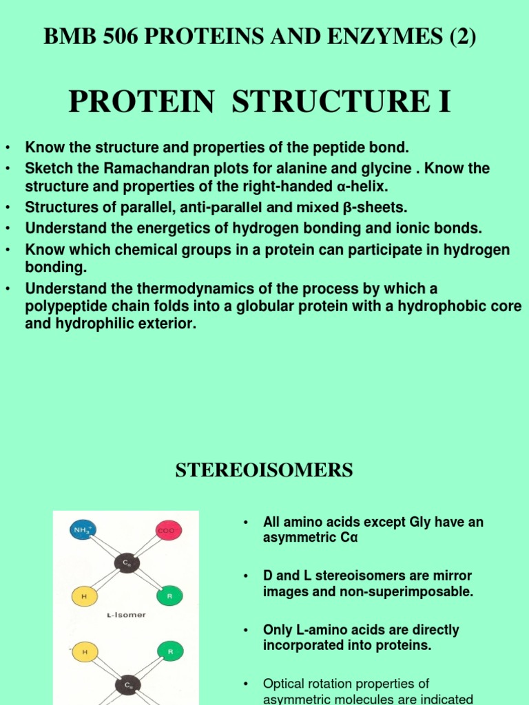 Protein Structure I: BMB 506 Proteins and Enzymes | PDF | Beta Sheet ...