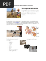 Enfermedades Profesionales en Topografia