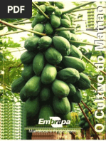 o Cultivo Do Mamao Nilton Sanches Circular Tecnica 34 1999