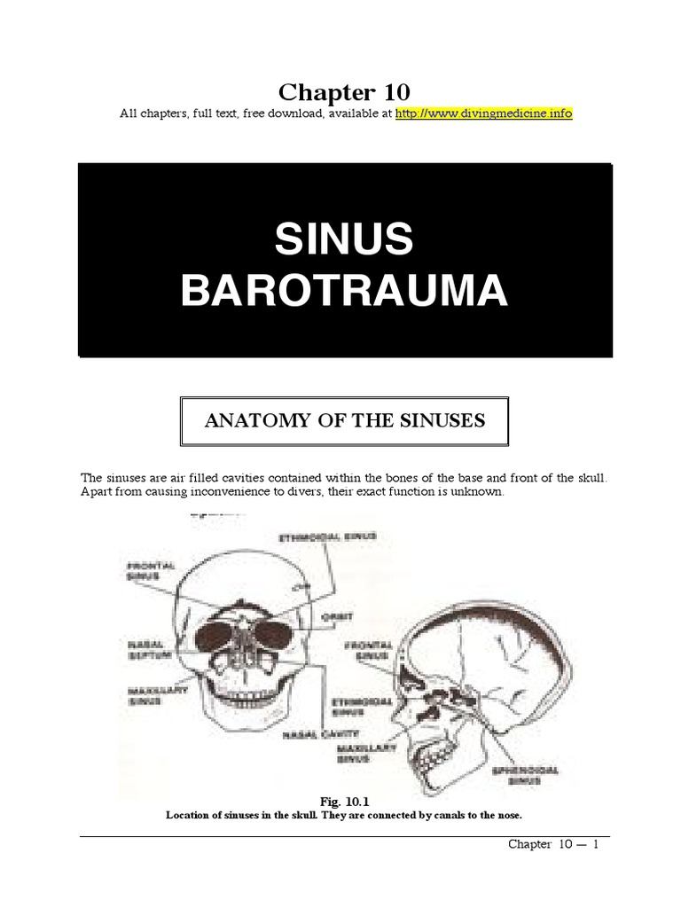 Sinus Barotrauma Anatomy of The Sinuses PDF Scuba Diving Medical