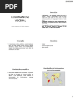 Leishmaniose Visceral 2009