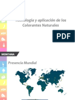 AVANCE PPT Colorantes Naturales - FINAL