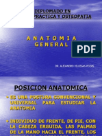 Anatomia General