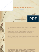 Zinc Metabolisme in the Body