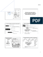 Slides Anticoncepcionais