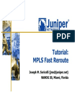 MPLS Fast Reroute PDF