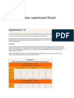 Program Saptamanal Flotari