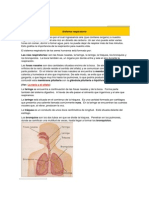 TEMA 2 CONOSistema respiratorio.docx