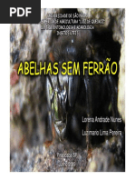 abelhas sem ferrão