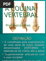 coluna vertebral EXCELENTE.ppt