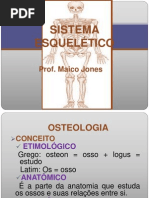Sistema Esquelético
