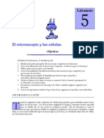 lab microscopio.pdf