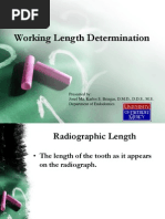 Endodontics Working Length