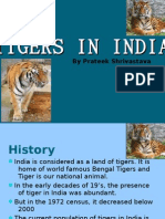 Tigers in India