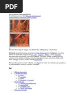 Download Holografidocx by ALEsa SN247477223 doc pdf