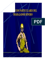 Beneficios Particulares Del Trabajador Minero