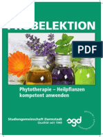 Phytotherapie Heilpflanzen