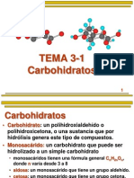 TEMA 3-1 Carbohidratos