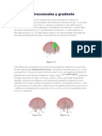 Derivadas Direccionales y Gradiente