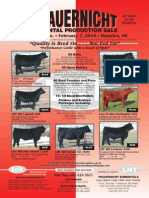 Trauernicht Simmental Production Sale