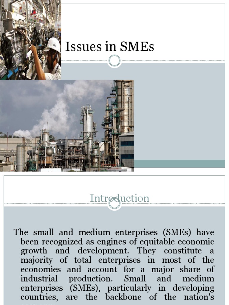 Problems of SME | PDF | Small And Medium Sized Enterprises | Resource