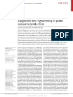 Epigenetic Reprogramming in Plant Sexual Reproduction