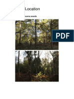 Planning-Location: Primary Images of Bourne Woods