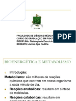 Apresentação Bioenergética e Metabolismo