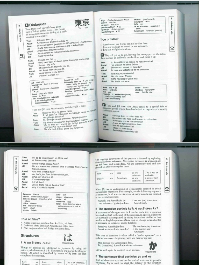 Teach Yorself Japanese Japanese Language Adjective