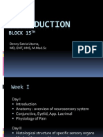 Block 15: Denny Satria Utama, MD, ENT, HNS, M.Med - SC